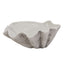 Large Ceramic Adele Shell Bowl Decorative Home Accessory