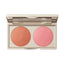 Stila Putty Bronzer & Blush Duo Bronzed Lillium