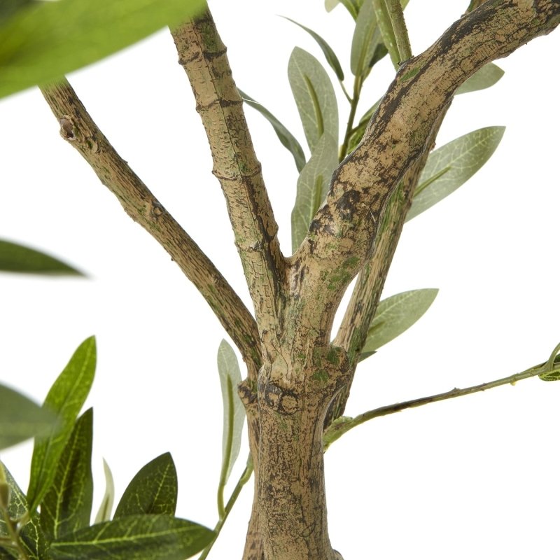 Apulia Olive Tree In White Pot 200Cm Artificial Flower Stem - Artificial Plants & Trees - British D'sire