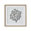 Atol Coral Art Mounted In Beaded Frame - Wall Art & Signs - British D'sire