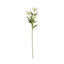 Cream Sea Holly Spray Artificial Flower Stem - Artificial Plants & Trees - British D'sire