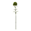 Dark Green Dianthus Stem Artificial Flower Stem - Artificial Plants & Trees - British D'sire