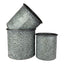 Embossed Daisy Designed Planters Set of 3 - Plant Pot - British D'sire