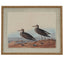 Flora & Fauna Collection Sandpipers On Linen In Beaded Frame - Wall Art & Signs - British D'sire