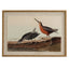 Flora & Fauna Collection Snipes On Linen In Beaded Frame - Wall Art & Signs - British D'sire