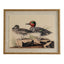 Flora & Fauna Collection Teals On Linen In Beaded Frame - Wall Art & Signs - British D'sire