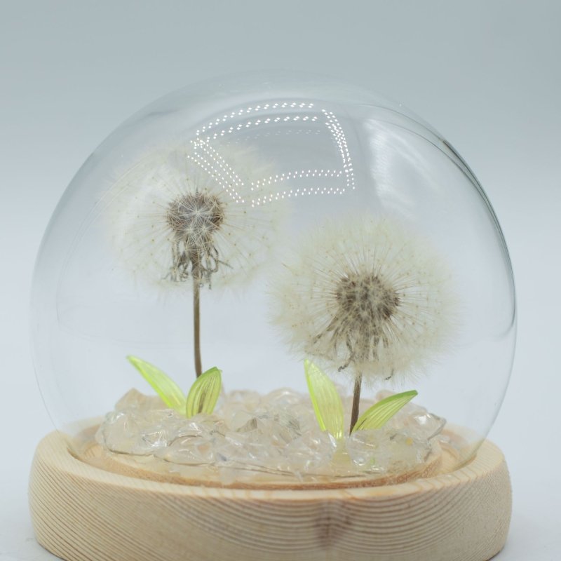Floral Glow Garden Dome - 2 Dandelions - Led Usb - Floral Glow Garden Dome - British D'sire