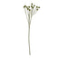 Green Craspedia Stem Artificial Flower Stem - Artificial Plants & Trees - British D'sire
