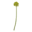 Green Medium Allium Stem Artificial Flower Stem - Artificial Plants & Trees - British D'sire