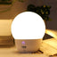 INETFISH DZY2021 Voice Smart Night Light Bedroom LED Eye Protection Desk Lamp Wireless Remote Control Bedside Lamp(Night Pearl Off - line Voice) - British D'sire