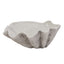 Large Ceramic Adele Shell Bowl Decorative Home Accessory - Trinket Dish - British D'sire