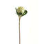 Large White Protea Artificial Flower Stem - Artificial Flowers & Stems - British D'sire