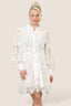 Luxe Lace Shirt Dress – Classic Elegance with a Modern Twist - Dresses - British D'sire