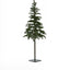 Medium Green Woodland Pre-Lit 200 Led Christmas Tree - Christmas Decor - British D'sire