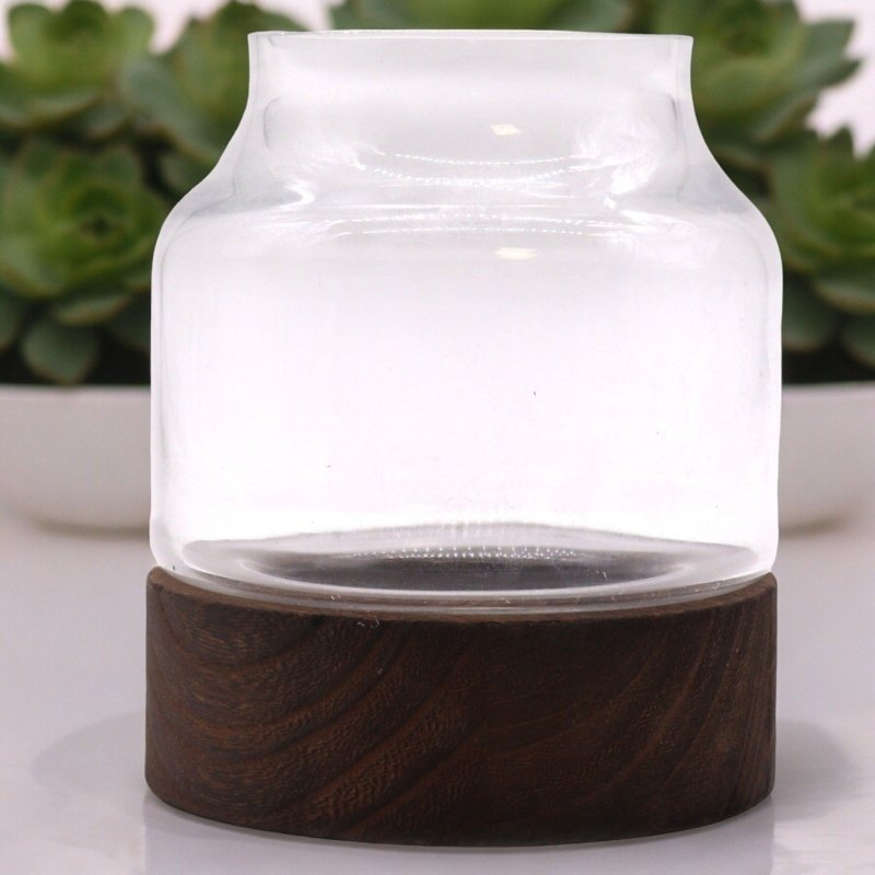 Medium Shaped Terrarium On Dark Tung Wood - Glass Terrariums - British D'sire