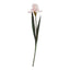 Pale Pink Fringed Iris Artificial Flower Stem - Artificial Flowers & Stems - British D'sire