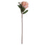 Peach Peony Rose Artificial Flower Stem - Artificial Plants & Trees - British D'sire