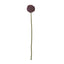 Purple Allium Stem Artificial Flower Stem - Artificial Plants & Trees - British D'sire