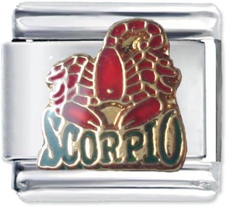 Quiges - 9mm Italian Style Charm Link Module Stainless Steel Horoscope ...