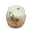 Small Glass Jar Candles - Wildlight Woods - Glass Jar Candles - British D'sire