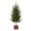 Small Green Fir Tree In Wood Log - Christmas Decor - British D'sire