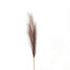 Taupe Faux Pampas Grass Stem for Floral Arrangements - Artificial Plants & Trees - British D'sire