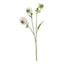 The Natural Garden Collection Pale Pink Scabious Stem Artificial - Artificial Plants & Trees - British D'sire