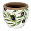 Verdal Olive Small Planter Decorative Home Accessory - Plant Pot - British D'sire