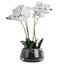White Orchid In Glass Pot Artificial Flower Stem - Artificial Plants & Trees - British D'sire