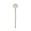 White Short Chrysanthemum Artificial Flower Stem - Artificial Plants & Trees - British D'sire
