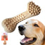 Forever Paws Bam-Bam-Bone - XL Extreme Bamboo Dog Chew Toy (18cm) - Dog chew toy - British D'sire