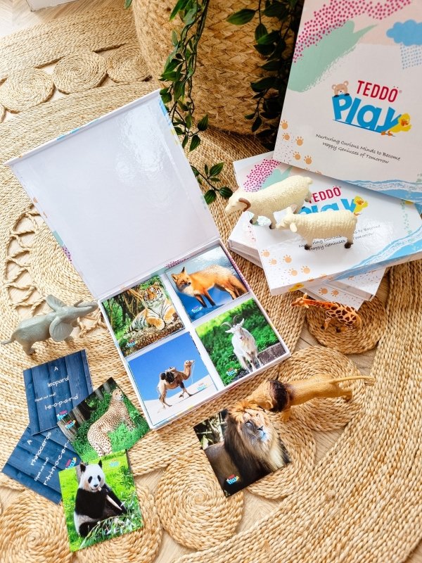 Teddo Play Birds of Prey, Wild Animals, Insects and Farm Animals (Letter-Linking Spelling Edition) Set of 40 - Learning & Education - British D'sire