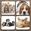 Yoosh Cats vs Dogs x 4 Coasters - Kitchen Tools & Gadgets - British D'sire