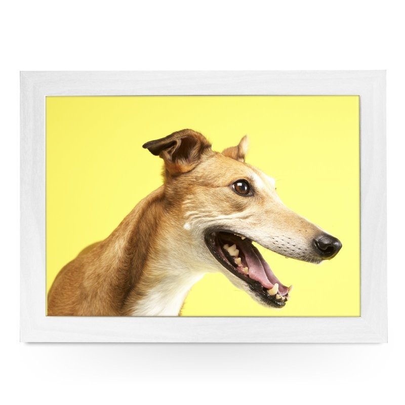 Yoosh Greyhound Lap Tray - Kitchen Tools & Gadgets - British D'sire
