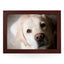Yoosh Labrador Dog Lap Tray - L0585 - Kitchen Tools & Gadgets - British D'sire