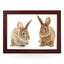 Yoosh Two Cute Bunnies Lap Tray - Kitchen Tools & Gadgets - British D'sire