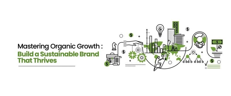 Organic Growth Strategies: Build a Sustainable Brand That Lasts - British D'sire