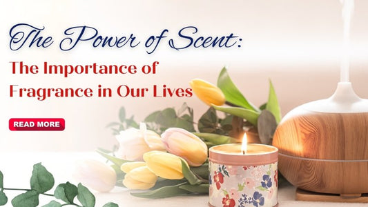 The Power of Scent: The Importance of Fragrance in Our Lives - British D'sire