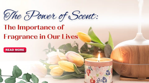 The Power of Scent: The Importance of Fragrance in Our Lives