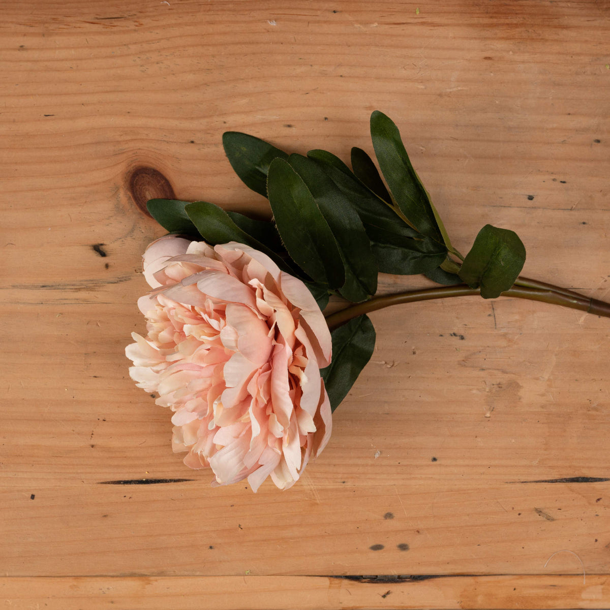 Peach Peony Rose Artificial Flower Stem