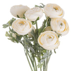 Soft Cream Ranunculus Artificial Flower Stem