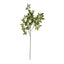 Long Fennel Stem Artificial Flower Stem
