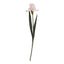 Pale Pink Fringed Iris Artificial Flower Stem