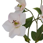 Pale Apricot Hellibore Artificial Flower Stem