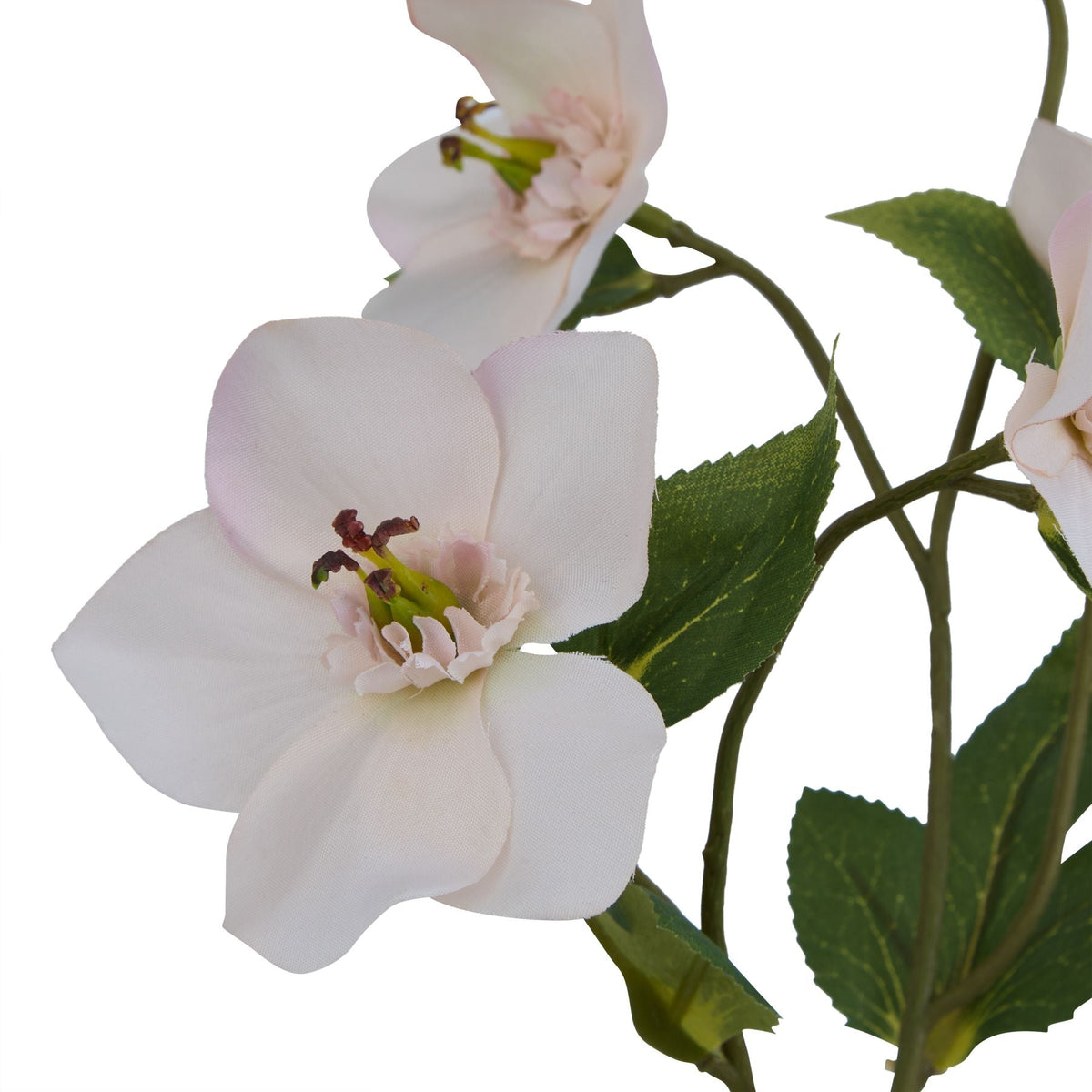 Pale Apricot Hellibore Artificial Flower Stem