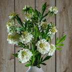 The Natural Garden Collection White Scabious Stem Artificial Flower