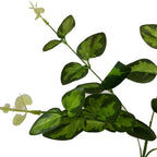 Variegated Leaf Spray Artificial Flower Stem