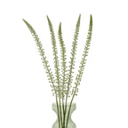 White Eremurus Stem Artificial Flower Stem