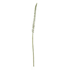 White Eremurus Stem Artificial Flower Stem