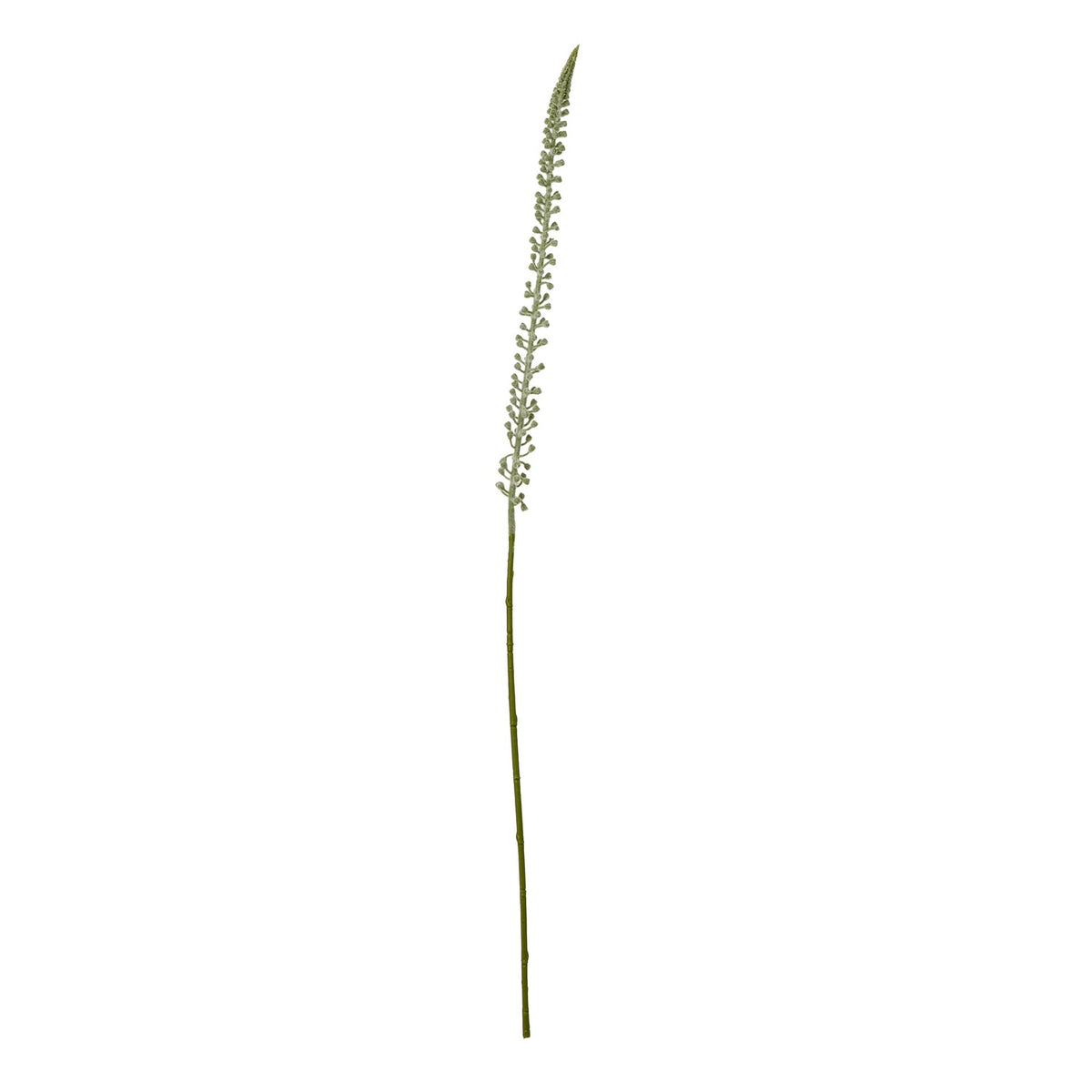 White Eremurus Stem Artificial Flower Stem